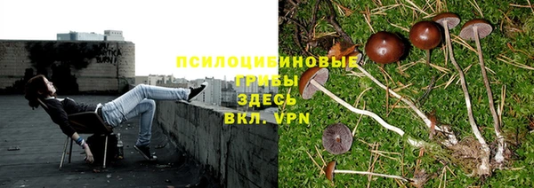 трава Алексин
